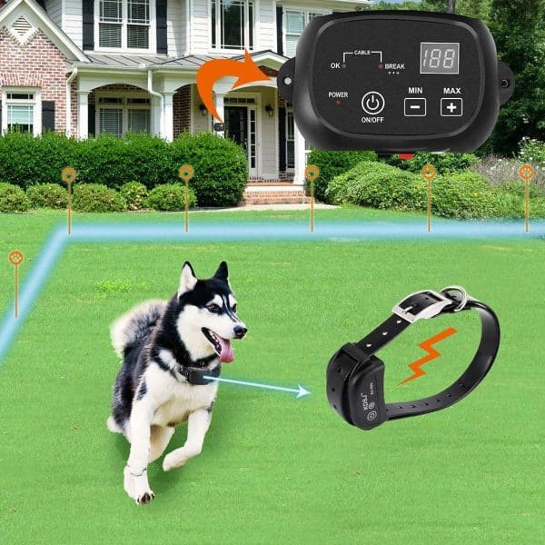 Train Your Dog Around the Electric Fence