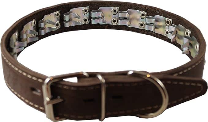 Training Pinch and Genuine Leather Studded Dog Collar