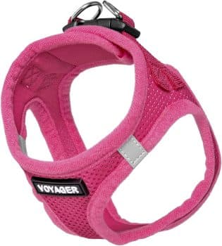 Voyager Step-in Air Dog Harness