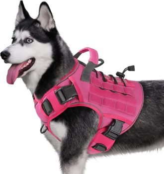 WINGOIN Pink Harness with Handle