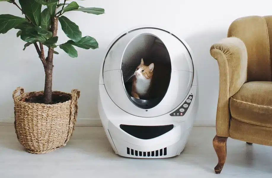 What is a Litter-Robot and How Does It Work