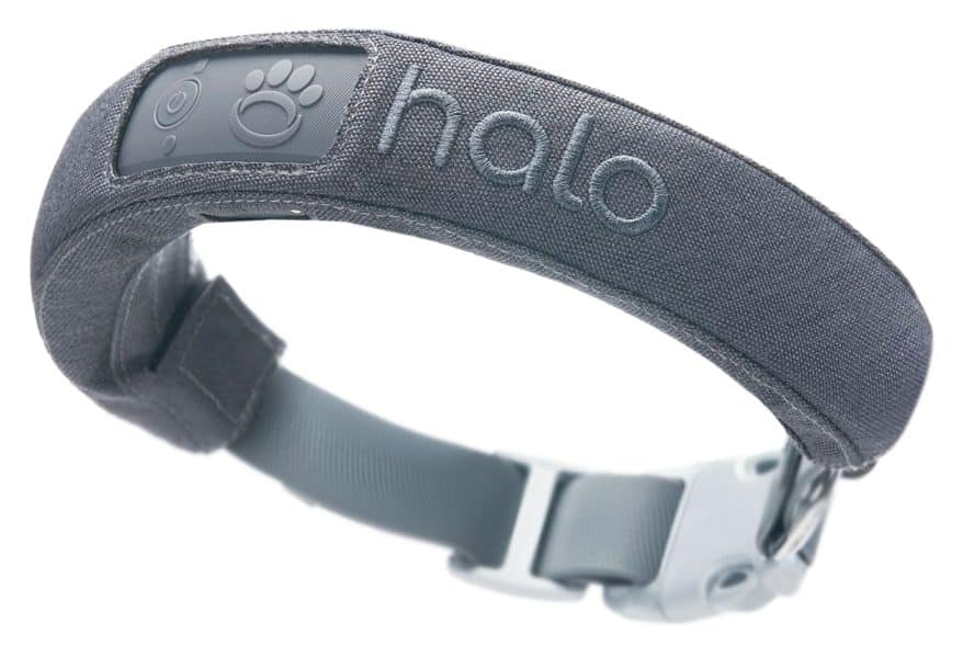 What is the Halo Dog Collar?