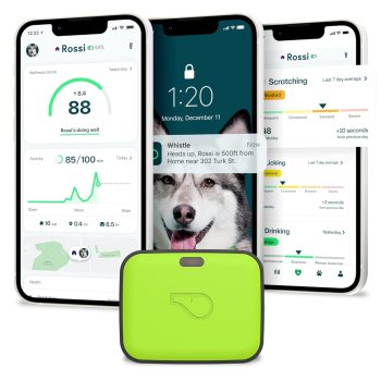 Whistle Go Explore Pet Location Tracker