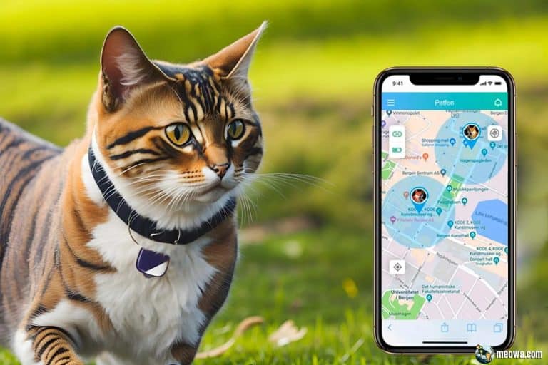 7 Best Cat Trackers and GPS Collars for Cats