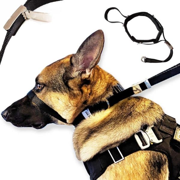 Dog Collars Ideal for Pulling