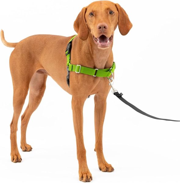 Easy Walk Harness