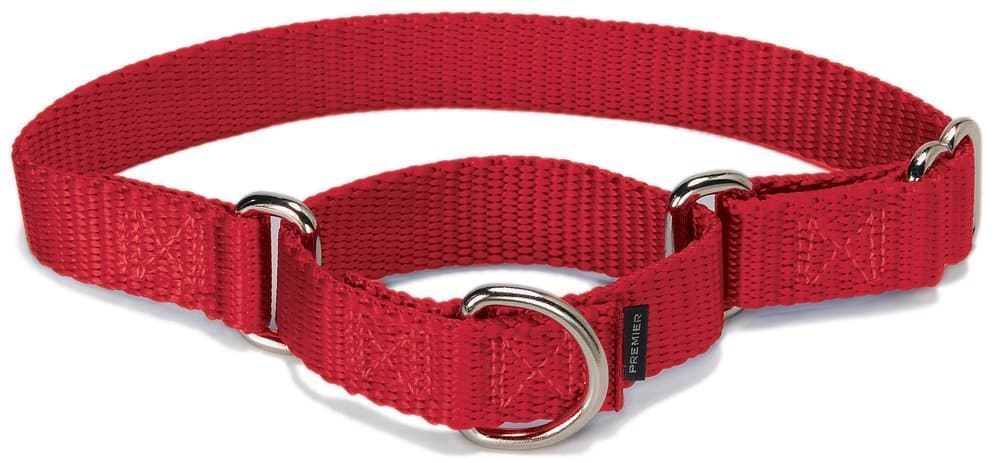 Martingale-Collar