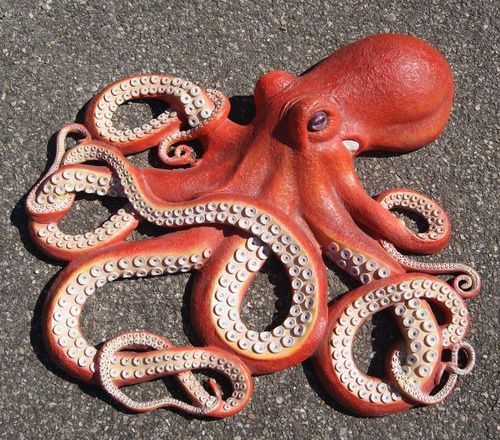 Octopus