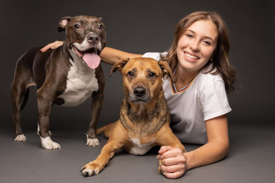 Pit Bull As a Family Dog