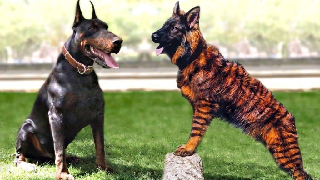 What Is the Scariest Dog Breed Ever?